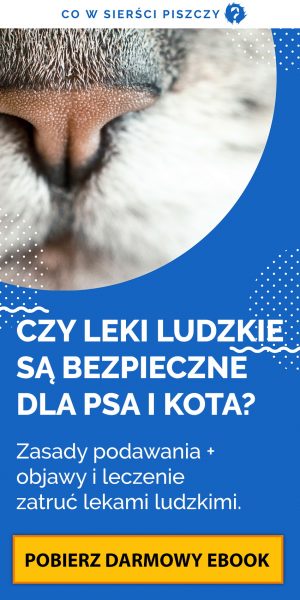 Weterynarz