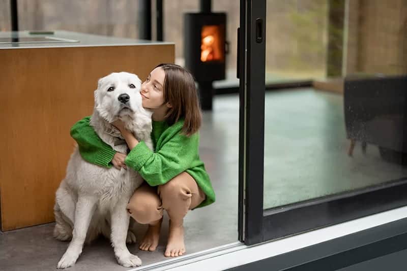 Jak powinien wyglądać dom przyjazny dla psa?