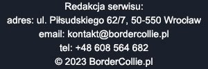 Adres redakcji BorderCollie.pl