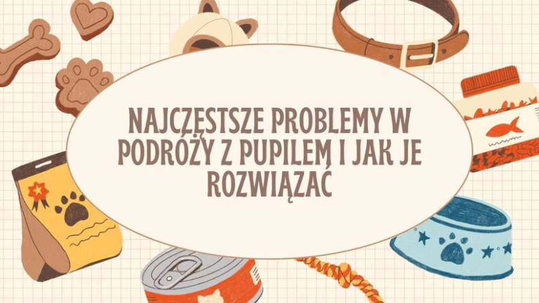 Najczęstsze problemy w podróży z pupilem i jak je rozwiązać
